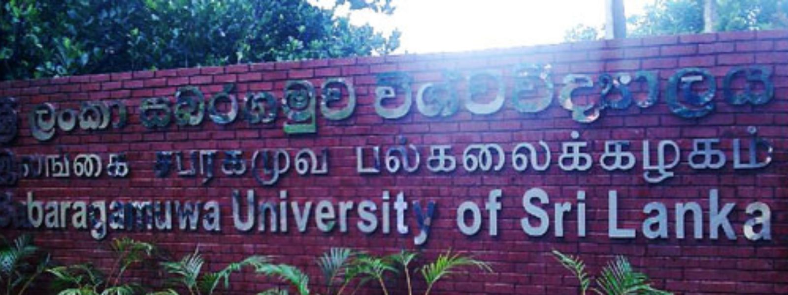 Committee Submits Report on Student Death